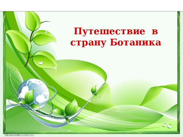 Путешествие в страну Ботаника Экологическая игра «ПРИРОДОГРАД – 6» 