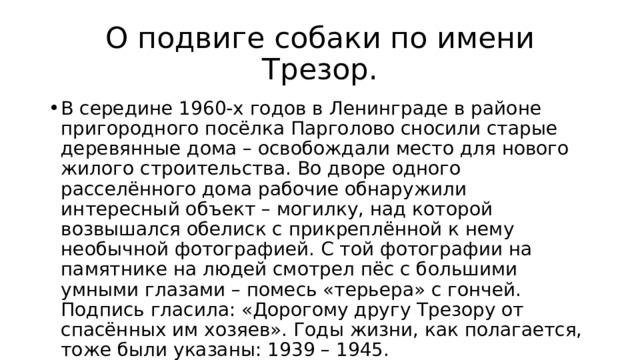 О подвиге собаки по имени Трезор. В середине 1960-х годов в Ленинграде в районе пригородного посёлка Парголово сносили старые деревянные дома – освобождали место для нового жилого строительства. Во дворе одного расселённого дома рабочие обнаружили интересный объект – могилку, над которой возвышался обелиск с прикреплённой к нему необычной фотографией. С той фотографии на памятнике на людей смотрел пёс с большими умными глазами – помесь «терьера» с гончей. Подпись гласила: «Дорогому другу Трезору от спасённых им хозяев». Годы жизни, как полагается, тоже были указаны: 1939 – 1945. 