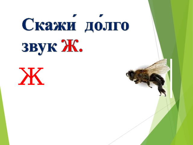 Ж 