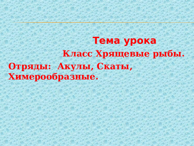  Тема урока  Класс Хрящевые рыбы. Отряды: Акулы, Скаты, Химерообразные. 