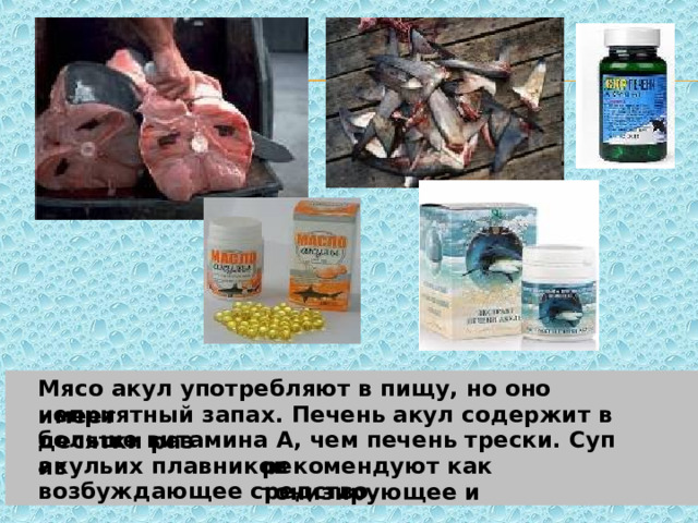 Мясо акул употребляют в пищу, но оно имеет неприятный запах. Печень акул содержит в десятки раз больше витамина А, чем печень трески. Суп из акульих плавников рекомендуют как тонизирующее и возбуждающее средство. 