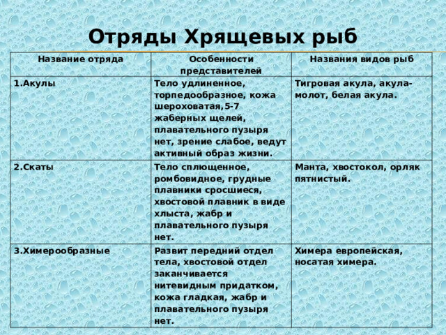 Отряды Хрящевых рыб Название отряда Особенности представителей 1.Акулы Названия видов рыб Тело удлиненное, торпедообразное, кожа шероховатая,5-7 жаберных щелей, плавательного пузыря нет, зрение слабое, ведут активный образ жизни. 2.Скаты Тигровая акула, акула-молот, белая акула. Тело сплющенное, ромбовидное, грудные плавники сросшиеся, хвостовой плавник в виде хлыста, жабр и плавательного пузыря нет. 3.Химерообразные Манта, хвостокол, орляк пятнистый. Развит передний отдел тела, хвостовой отдел заканчивается нитевидным придатком, кожа гладкая, жабр и плавательного пузыря нет. Химера европейская, носатая химера. 