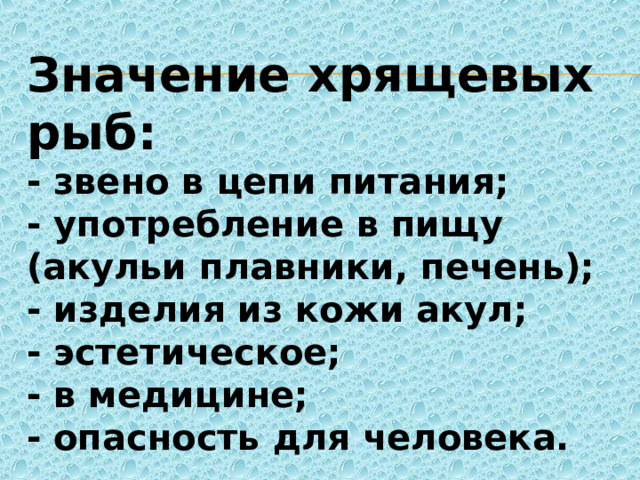 Значение хрящевых рыб: - звено в цепи питания; - употребление в пищу (акульи плавники, печень); - изделия из кожи акул; - эстетическое; - в медицине; - опасность для человека. 