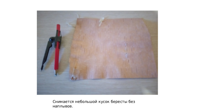 Снимается небольшой кусок бересты без наплывов. 