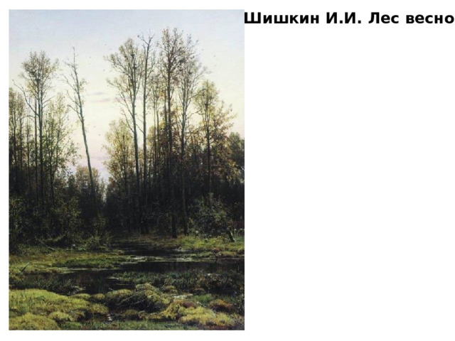 Шишкин И.И. Лес весной 