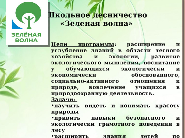 Школьное лесничество «Зеленая волна» Цели программы : расширение и углубление знаний в области лесного хозяйства и экологии, развитие экологического мышления, воспитание у обучающихся экологически и экономически обоснованного, социально-активного отношения к природе, вовлечение учащихся в природоохранную деятельност ь. Задачи; научить видеть и понимать красоту природы привить навыки безопасного и экологически грамотного поведения в лесу расширить знания детей по лесоводству, познакомить с правилами посадки древесных растений, ухода за саженцами, правилами сбора и хранения семян   