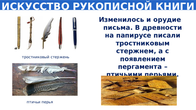 ИСКУССТВО РУКОПИСНОЙ КНИГИ Изменилось и орудие письма. В древности на папирусе писали тростниковым стержнем, а с появлением пергамента – птичьими перьями. тростниковый стержень птичьи перья 