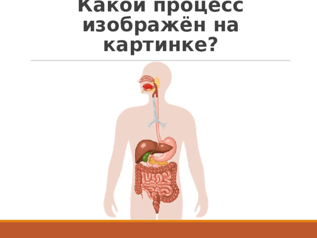 Какой процесс изображён на картинке? 