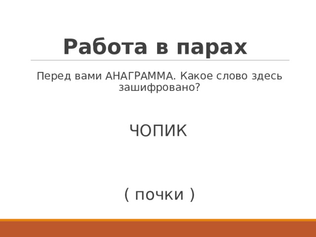 Работа в парах Перед вами АНАГРАММА. Какое слово здесь зашифровано? ЧОПИК  ( почки ) 