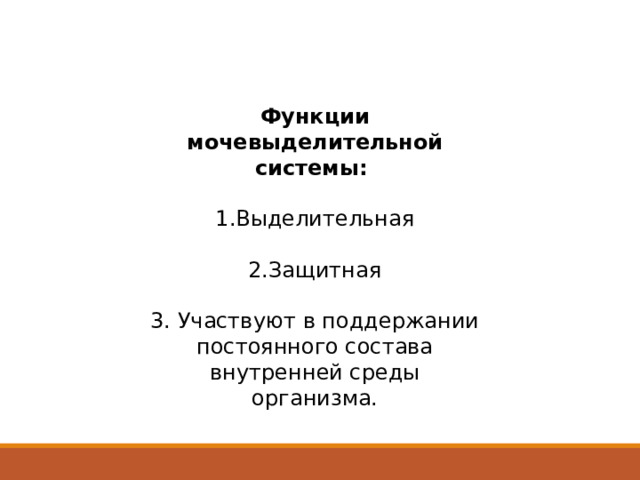 Функции мочевыделительной системы:  1.Выделительная 2.Защитная 3. Участвуют в поддержании постоянного состава внутренней среды организма.   