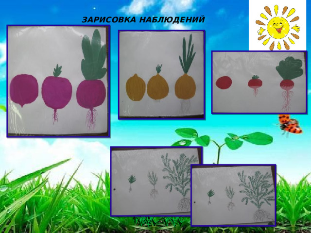 ЗАРИСОВКА НАБЛЮДЕНИЙ 