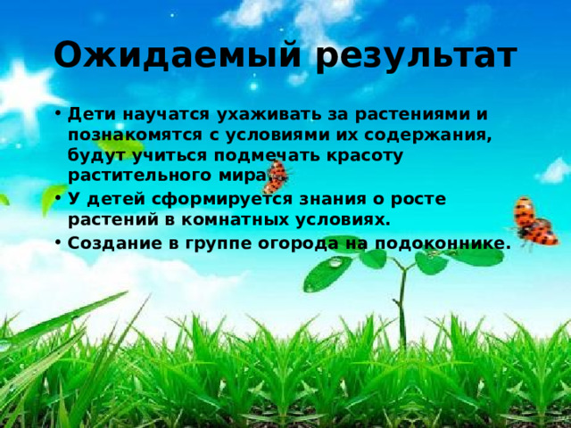 Ожидаемый результат Дети научатся ухаживать за растениями и познакомятся с условиями их содержания, будут учиться подмечать красоту растительного мира. У детей сформируется знания о росте растений в комнатных условиях. Создание в группе огорода на подоконнике. 