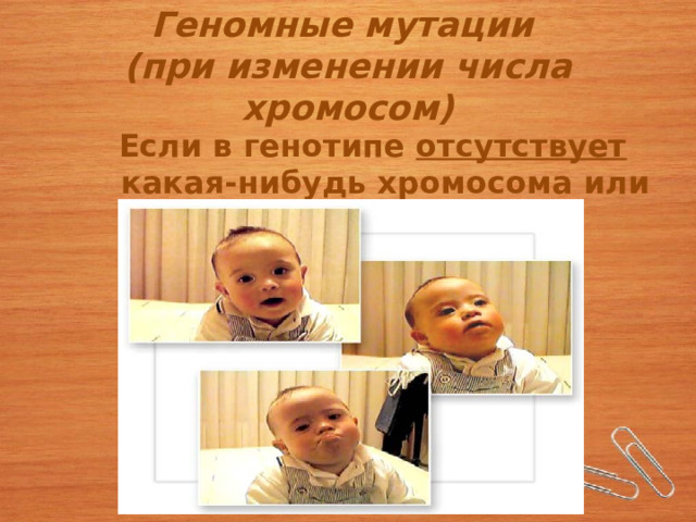 Геномные мутации  (при изменении числа хромосом) Если в генотипе отсутствует какая-нибудь хромосома или присутствует лишняя  