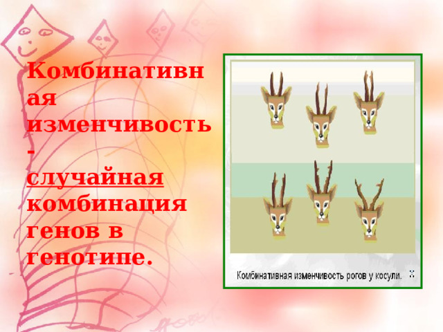   Комбинативная изменчивость -  случайная комбинация генов в генотипе.   