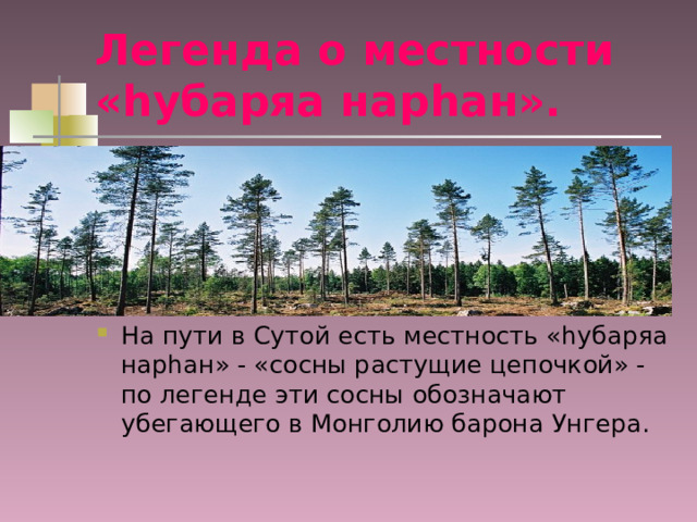 Легенда о местности « h убаряа нар h ан».  На пути в Сутой есть местность « h убаряа нар h ан» - «сосны растущие цепочкой» - по легенде эти сосны обозначают убегающего в Монголию барона Унгера. 