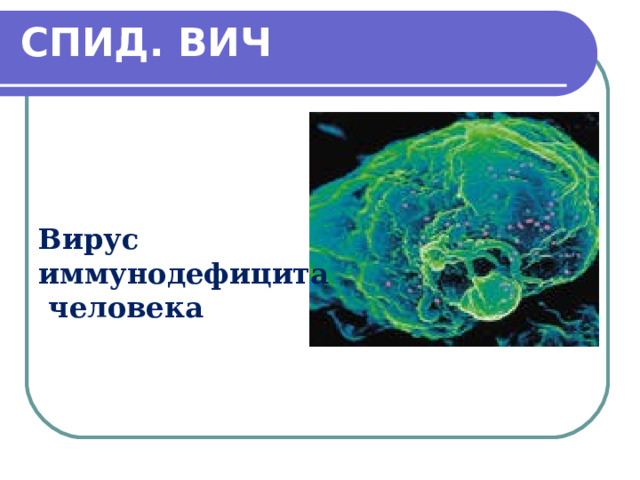 СПИД. ВИЧ   Вирус иммунодефицита  человека 