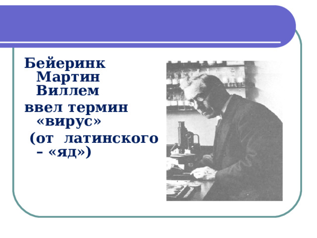 Бейеринк Мартин Виллем ввел термин «вирус»  (от латинского – «яд»)  