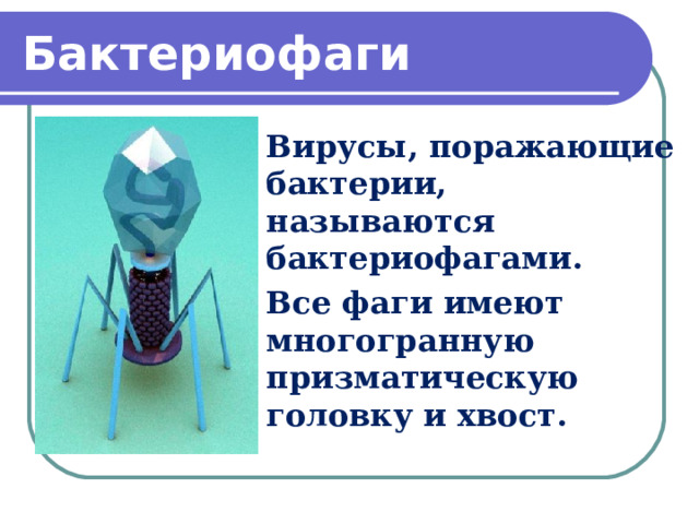 Бактериофаги   Вирусы, поражающие бактерии, называются бактериофагами. Все фаги имеют многогранную призматическую головку и хвост.  