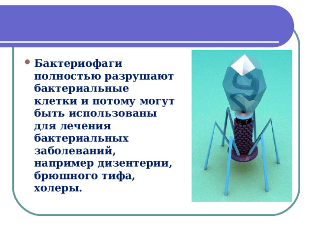 Бактериофаги полностью разрушают бактериальные клетки и потому могут быть использованы для лечения бактериальных заболеваний, например дизентерии, брюшного тифа, холеры.  