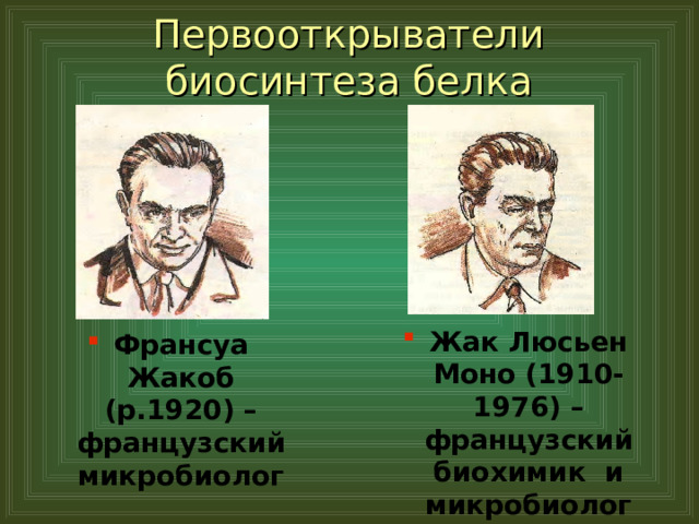 Первооткрыватели биосинтеза белка Жак Люсьен Моно (1910-1976) – французский биохимик и микробиолог Франсуа Жакоб (р.1920) – французский микробиолог 