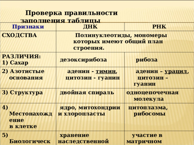  Проверка правильности заполнения таблицы  Признаки ДНК СХОДСТВА РНК  Полинуклеотиды, мономеры которых имеют общий план строения.  Полинуклеотиды, мономеры которых имеют общий план строения.  Полинуклеотиды, мономеры которых имеют общий план строения.  Полинуклеотиды, мономеры которых имеют общий план строения.  Полинуклеотиды, мономеры которых имеют общий план строения. РАЗЛИЧИЯ: 1) Сахар  дезоксирибоза 2) Азотистые основания 3) Структура  аденин - тимин ,  цитозин - гуанин  рибоза  двойная спираль 4) Местонахождение  в клетке   аденин – урацил , цитозин – гуанин одноцепочечная молекула  ядро, митохондрии и хлоропласты 5) Биологические функции  цитоплазма, рибосомы  хранение наследственной информации и передача ее из поколения в поколение  участие в матричном биосинтезе белка на рибосоме, т.е. реализация наследственной информации 