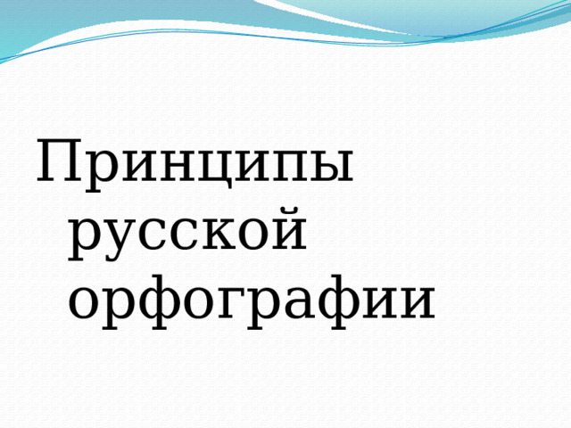 Принципы русской орфографии 