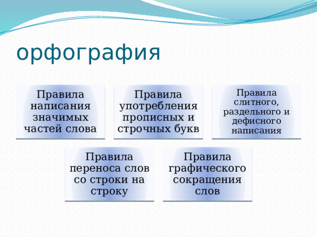 орфография Правила написания значимых частей слова Правила употребления прописных и строчных букв Правила слитного, раздельного и дефисного написания Правила переноса слов со строки на строку Правила графического сокращения слов 