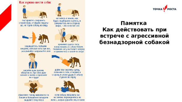 Памятка Как действовать при встрече с агрессивной безнадзорной собакой 