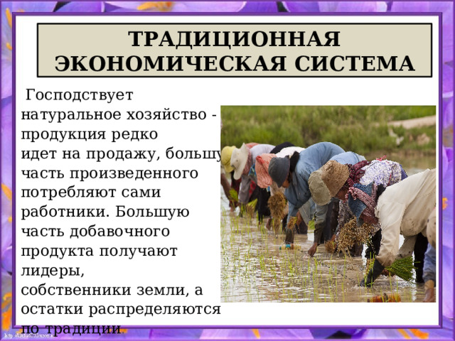 ТРАДИЦИОННАЯ ЭКОНОМИЧЕСКАЯ СИСТЕМА  Господствует натуральное хозяйство - продукция редко идет на продажу, большую часть произведенного потребляют сами работники. Большую часть добавочного продукта получают лидеры, собственники земли, а остатки распределяются по традиции . 