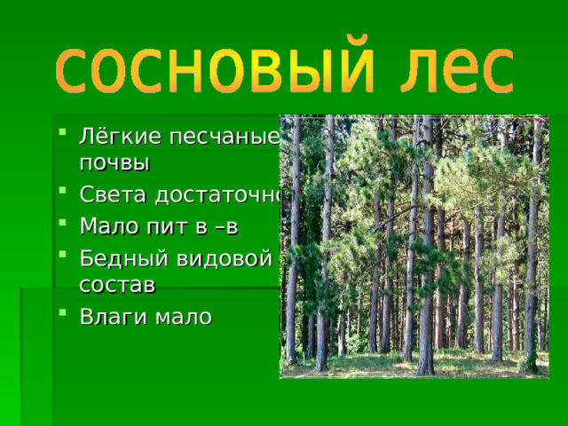 Лёгкие песчаные почвы Света достаточно Мало пит в –в Бедный видовой состав Влаги мало 