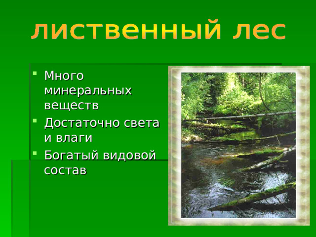 Много минеральных веществ Достаточно света и влаги Богатый видовой состав 