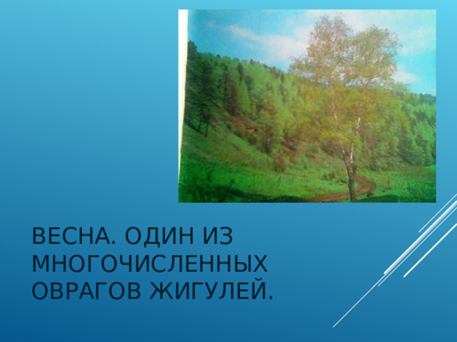 ВЕСНА. ОДИН ИЗ МНОГОЧИСЛЕННЫХ ОВРАГОВ ЖИГУЛЕЙ. 
