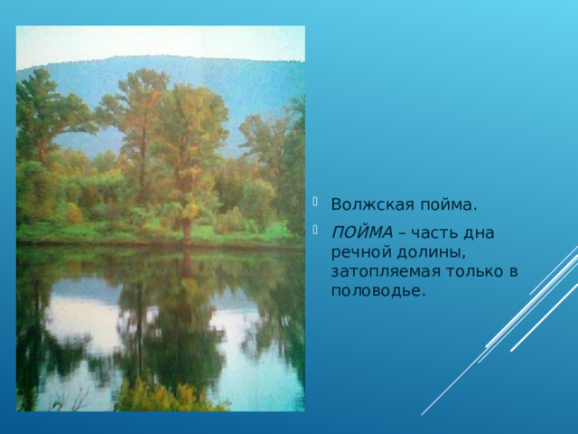 Волжская пойма. ПОЙМА – часть дна речной долины, затопляемая только в половодье. 