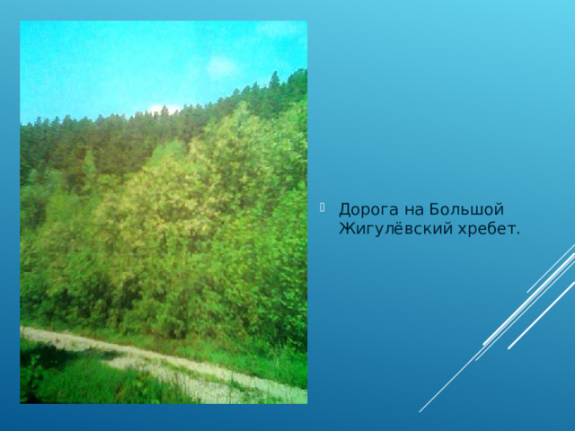 Дорога на Большой Жигулёвский хребет. 