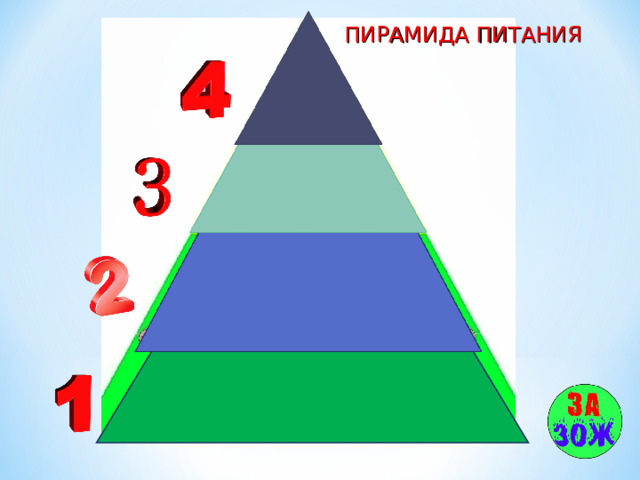 ПИРАМИДА ПИТАНИЯ 