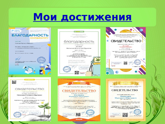 Мои  достижения 