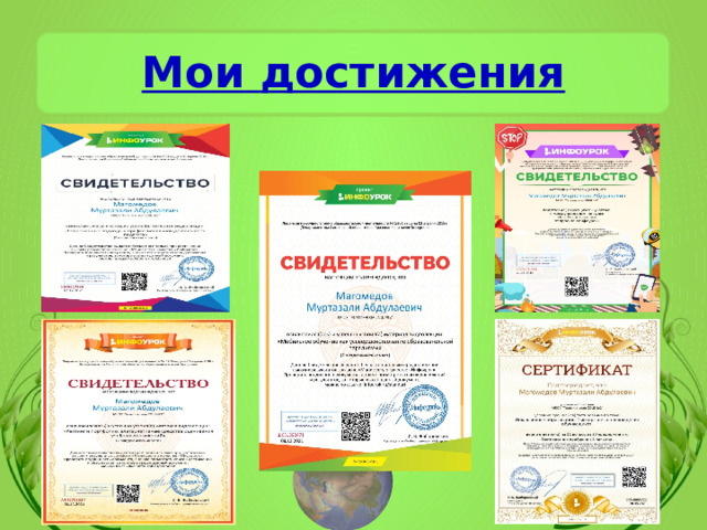 Мои  достижения 
