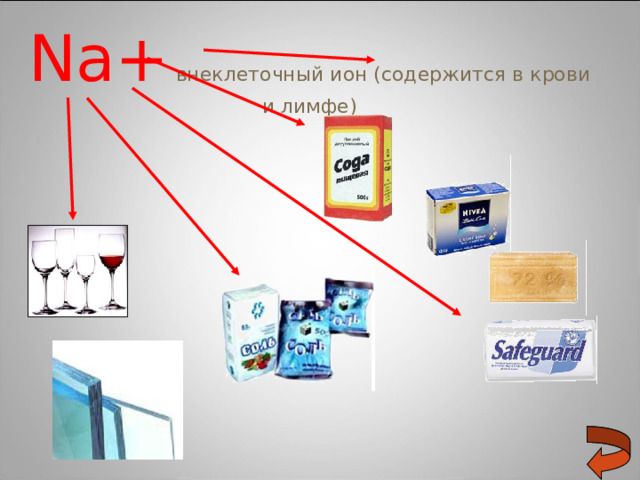 Na+  внеклеточный ион (содержится в крови и лимфе)  
