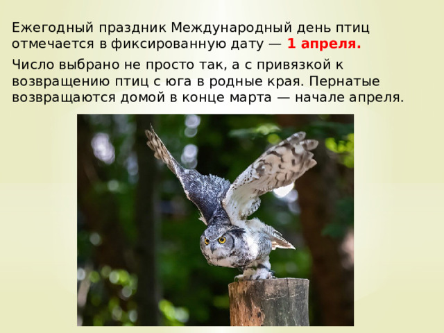 Ежегодный праздник Международный день птиц отмечается в фиксированную дату —  1 апреля. Число выбрано не просто так, а с привязкой к возвращению птиц с юга в родные края. Пернатые возвращаются домой в конце марта — начале апреля. 