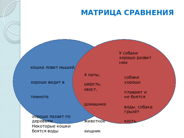 МАТРИЦА СРАВНЕНИЯ кошка ловит мышей, 4 лапы, У собаки хорошо развит нюх хорошо видит в шерсть, хвост, темноте собаки хорошо домашнее плавают и не боятся животное воды. собака грызёт хорошо лазает по деревьям Некоторые кошки боятся воды хищник кость 