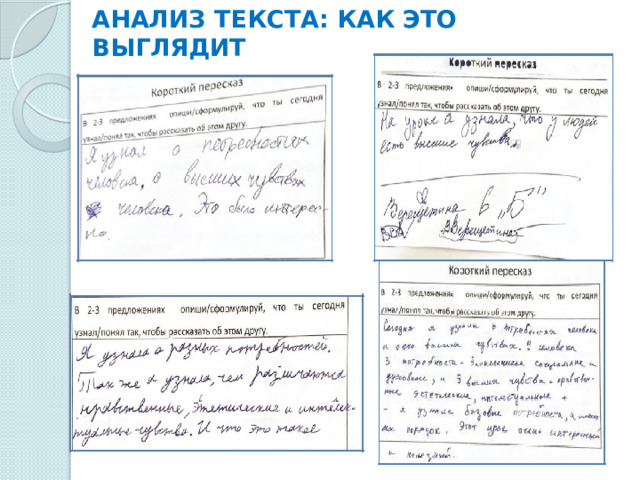 АНАЛИЗ ТЕКСТА: КАК ЭТО ВЫГЛЯДИТ 