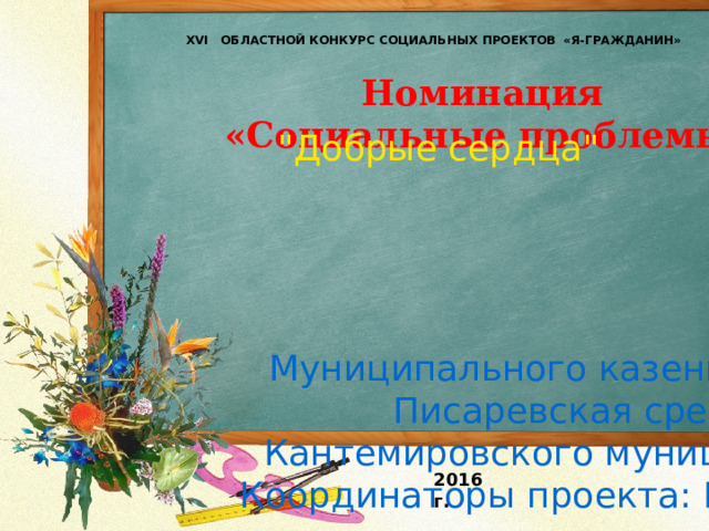 XVI ОБЛАСТНОЙ КОНКУРС СОЦИАЛЬНЫХ ПРОЕКТОВ  « Я-ГРАЖДАНИН» Номинация  «Социальные проблемы» 