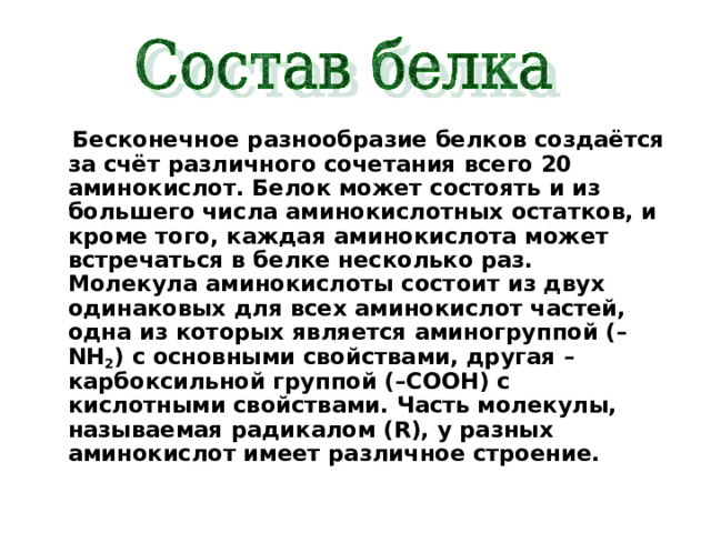  Бесконечное разнообразие белков создаётся за счёт различного сочетания всего 20 аминокислот. Белок может состоять и из большего числа аминокислотных остатков, и кроме того, каждая аминокислота может встречаться в белке несколько раз. Молекула аминокислоты состоит из двух одинаковых для всех аминокислот частей, одна из которых является аминогруппой (– NH 2 ) с основными свойствами, другая – карбоксильной группой (– COOH) с кислотными свойствами. Часть молекулы, называемая радикалом ( R) , у разных аминокислот имеет различное строение.    