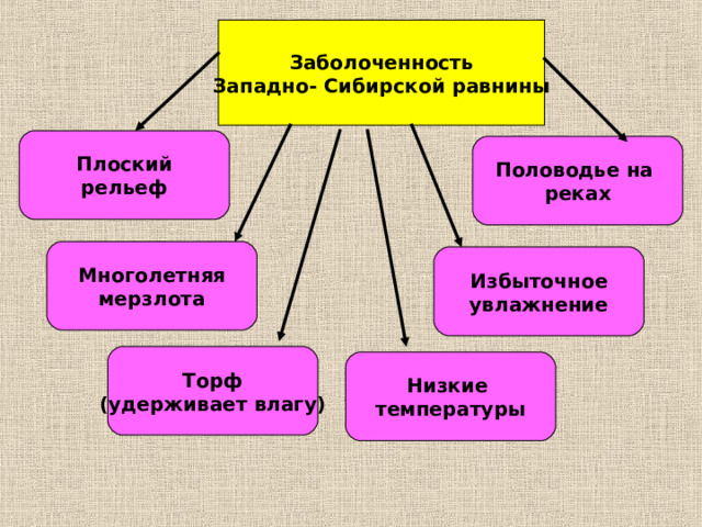 Заболоченность Западно- Сибирской равнины Плоский рельеф Половодье на реках Многолетняя мерзлота Избыточное увлажнение Торф (удерживает влагу) Низкие температуры 