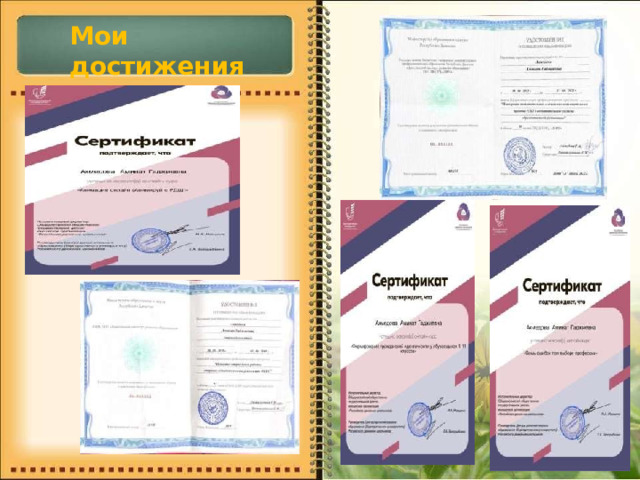 Мои  достижения 