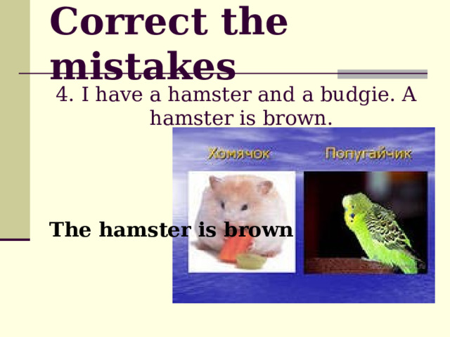 Correct the mistakes 4. I have a hamster and a budgie. A hamster is brown.   The hamster is brown  