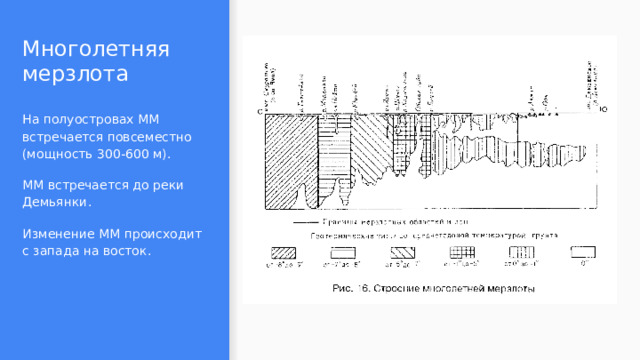 Многолетняя мерзлота На полуостровах ММ встречается повсеместно (мощность 300-600 м). ММ встречается до реки Демьянки. Изменение ММ происходит с запада на восток. 
