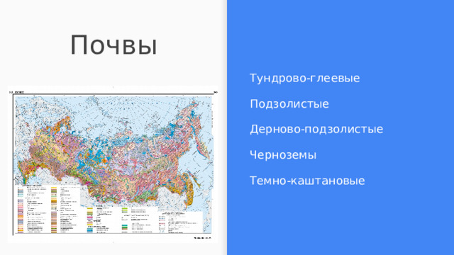Почвы Тундрово-глеевые Подзолистые Дерново-подзолистые Черноземы Темно-каштановые 