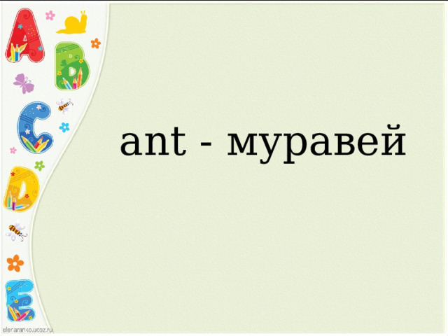 аnt - муравей 