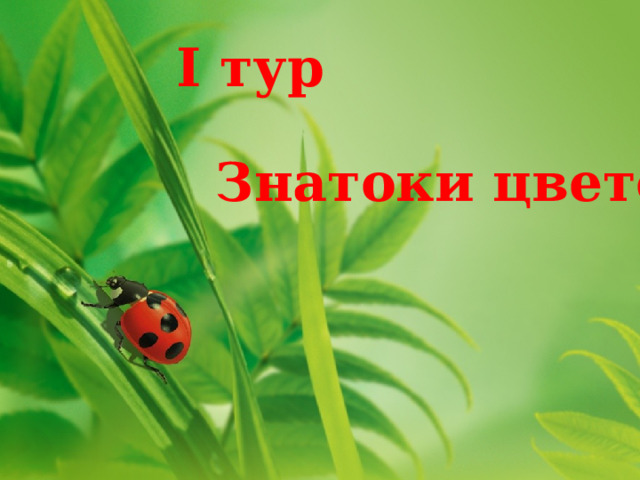 I тур Знатоки цветов 